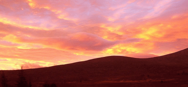 Ben Rinnes